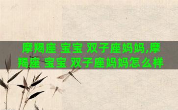 摩羯座 宝宝 双子座妈妈,摩羯座 宝宝 双子座妈妈怎么样